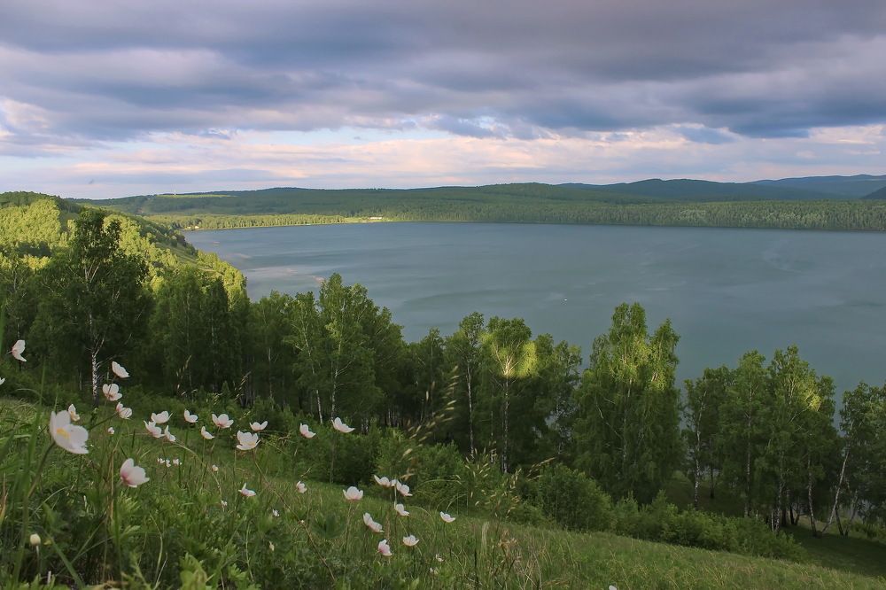 Сатиновые берега.