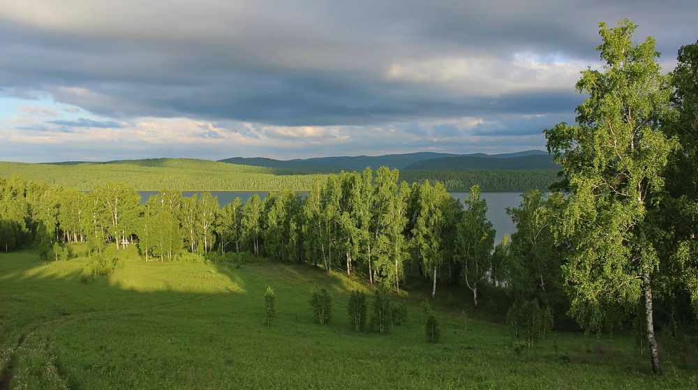 Обласканные уходящим солнцем.
