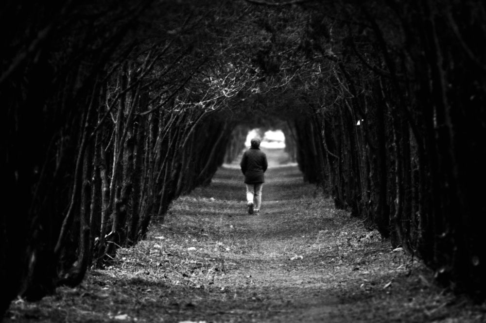 тихая аллея