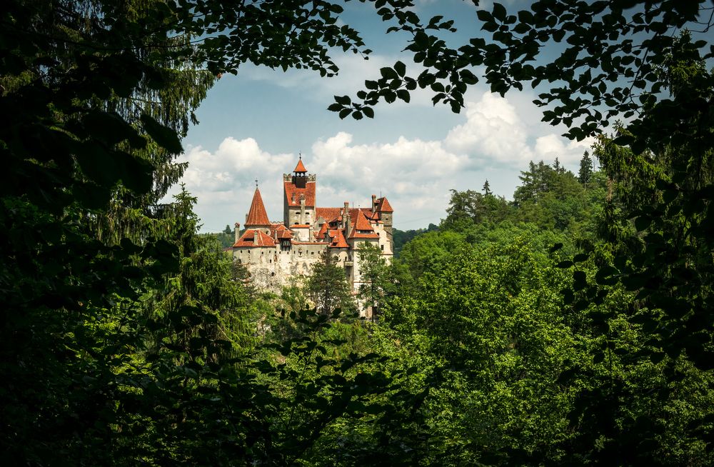 Карпатские горы и замок Бран, Румыния