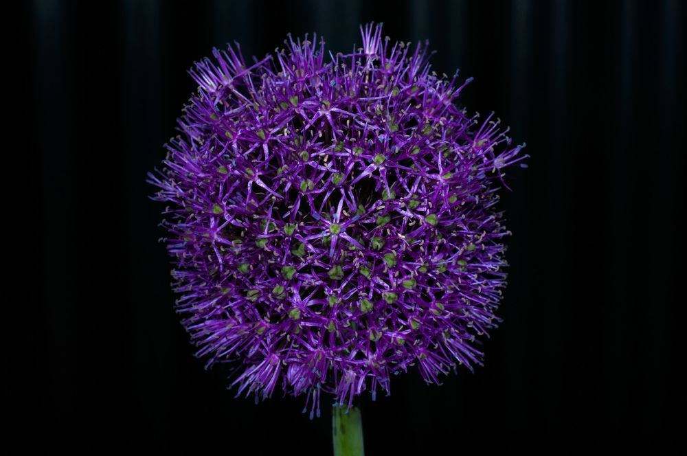 Синяя планета