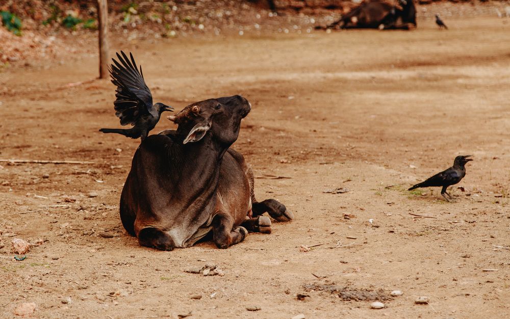 Photograph by Екатерина Чернышева