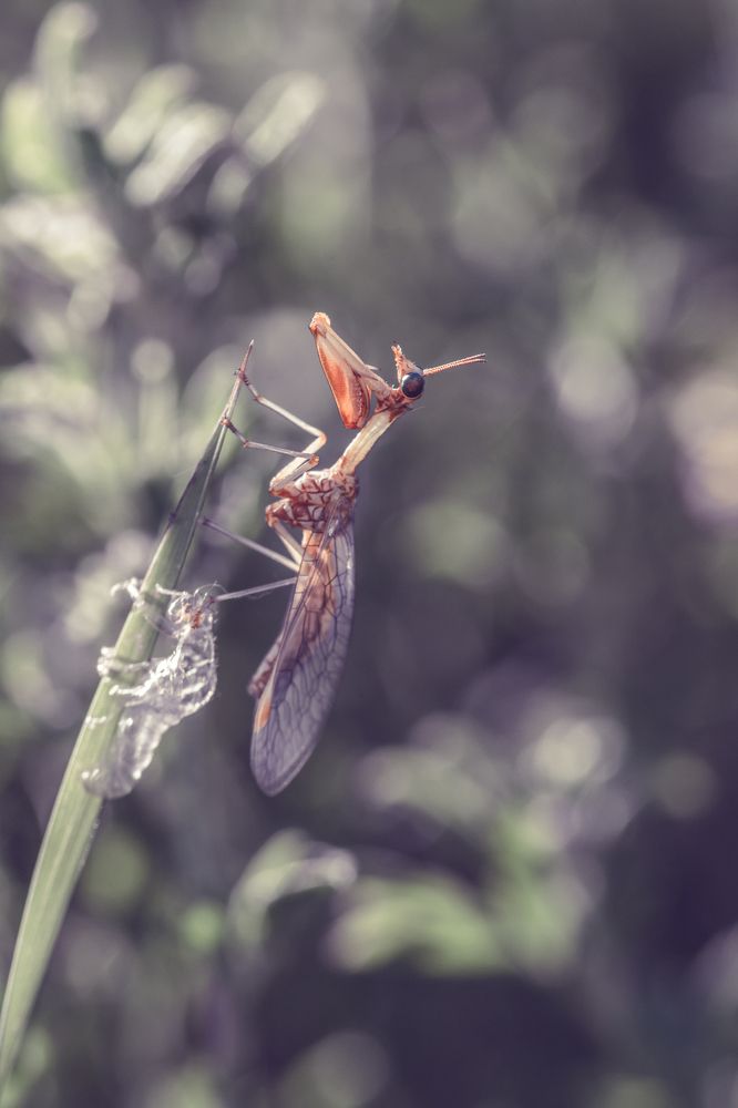 Photograph by Сергей Масленников