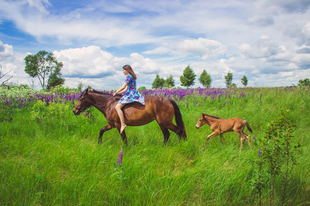 Конная прогулка