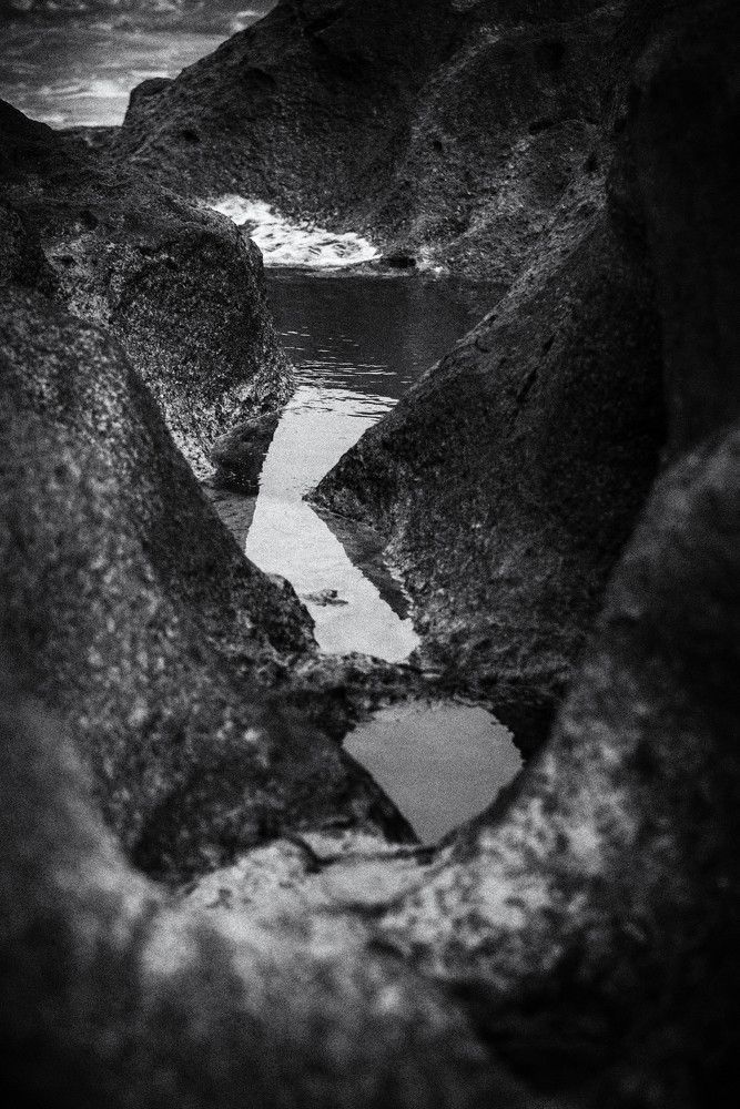 Photograph by Елена