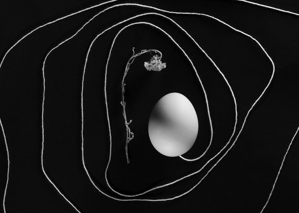 What will happen at the end? (Что будет в конце?)