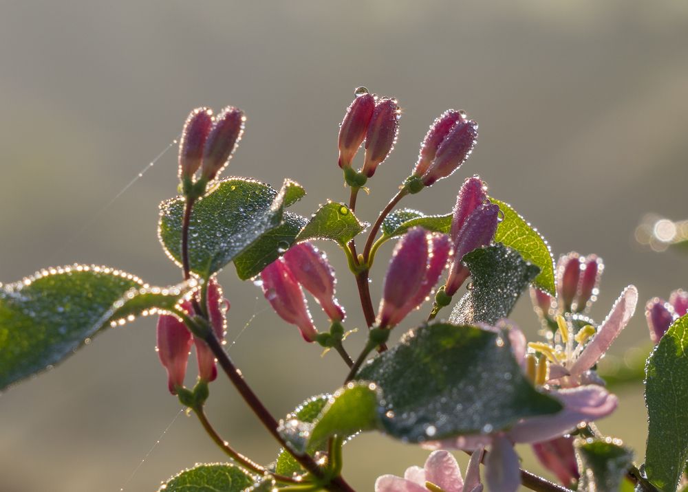 Photograph by Игорь Кляхин