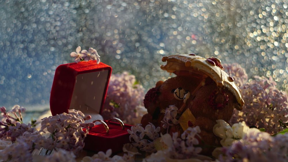 Вместе, не смотря ни на что =)))