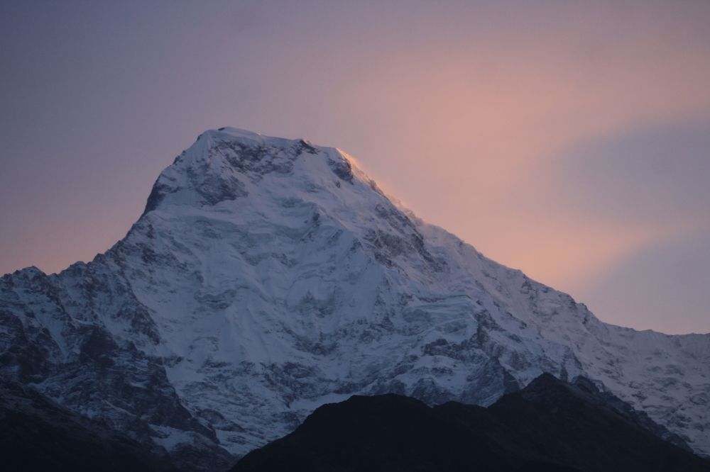 golden Himalayas