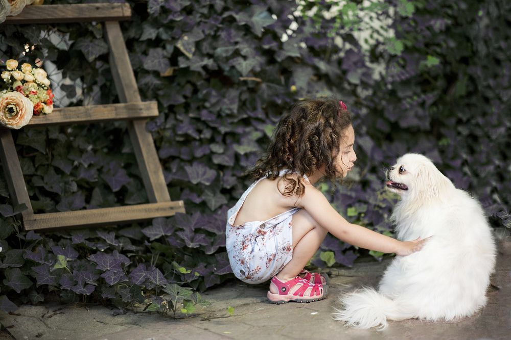 Little miss with dog