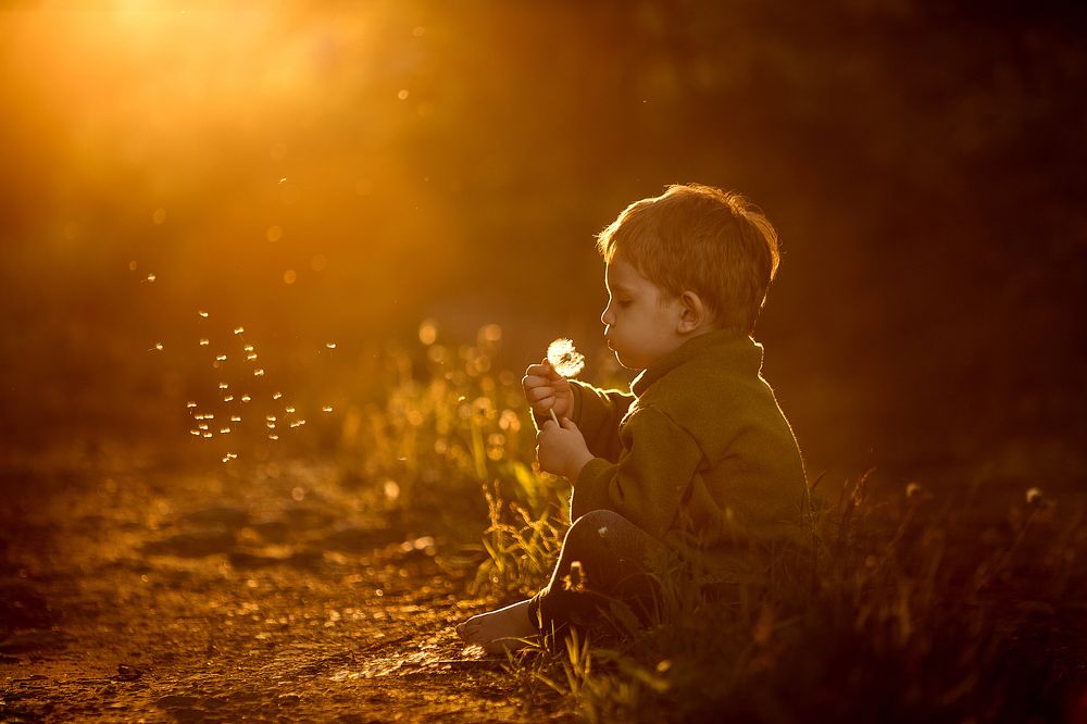 Летний вечер