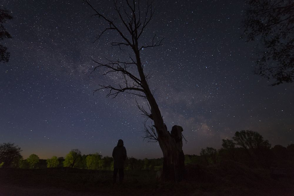 Майская ночь