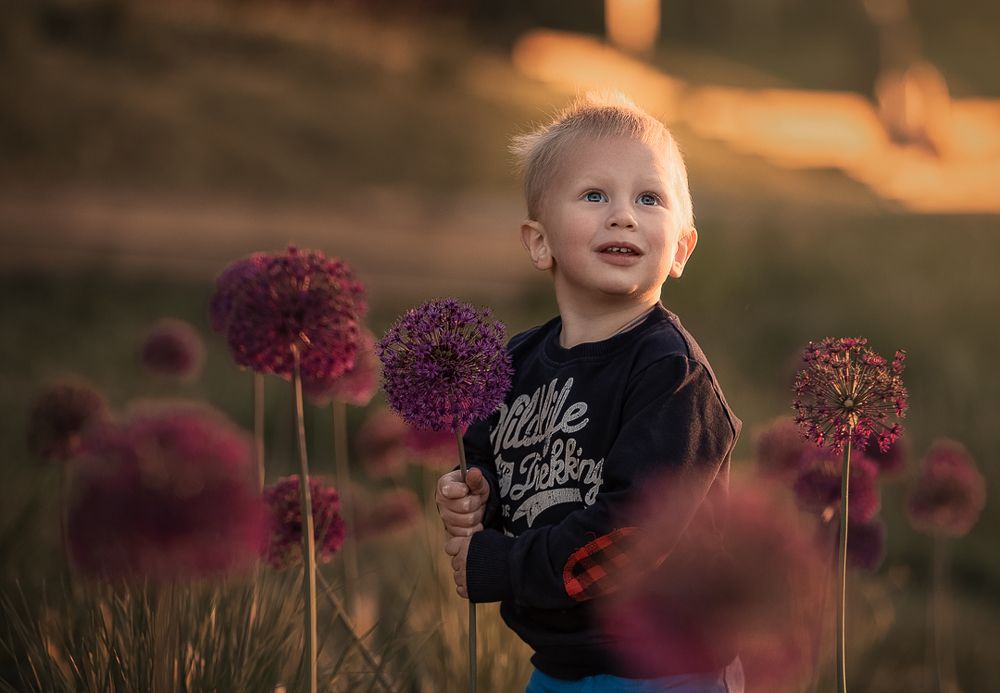 Вечер, аллиумы, малыш