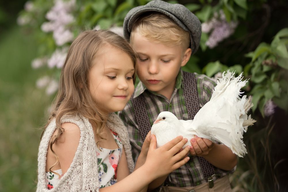 Дети и голуби