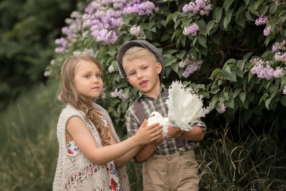 Дети и голуби