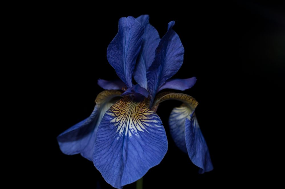 Photograph by Александр Иванов