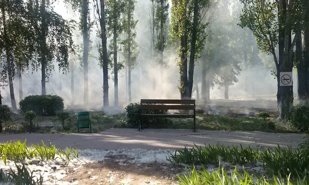 Дым в парке.