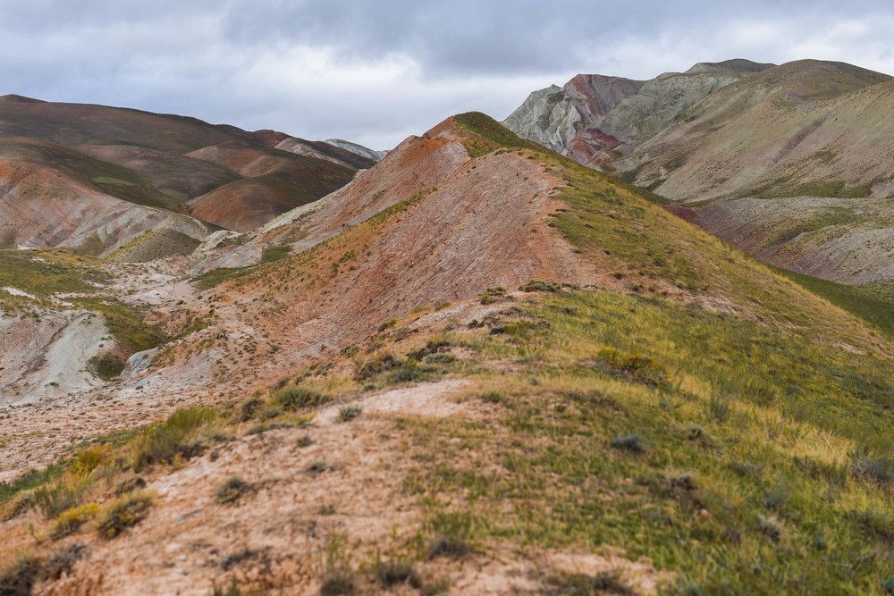 Photograph by Елена