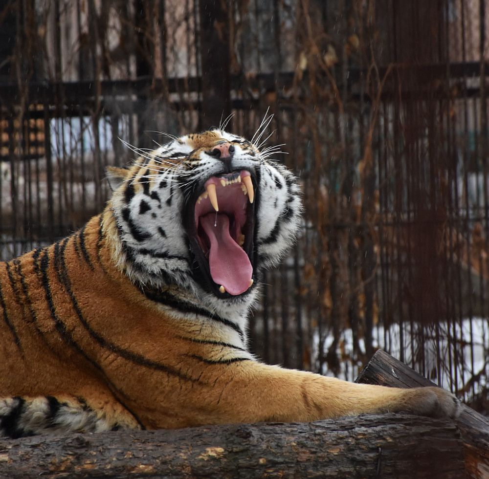 Photograph by Волков Станислав