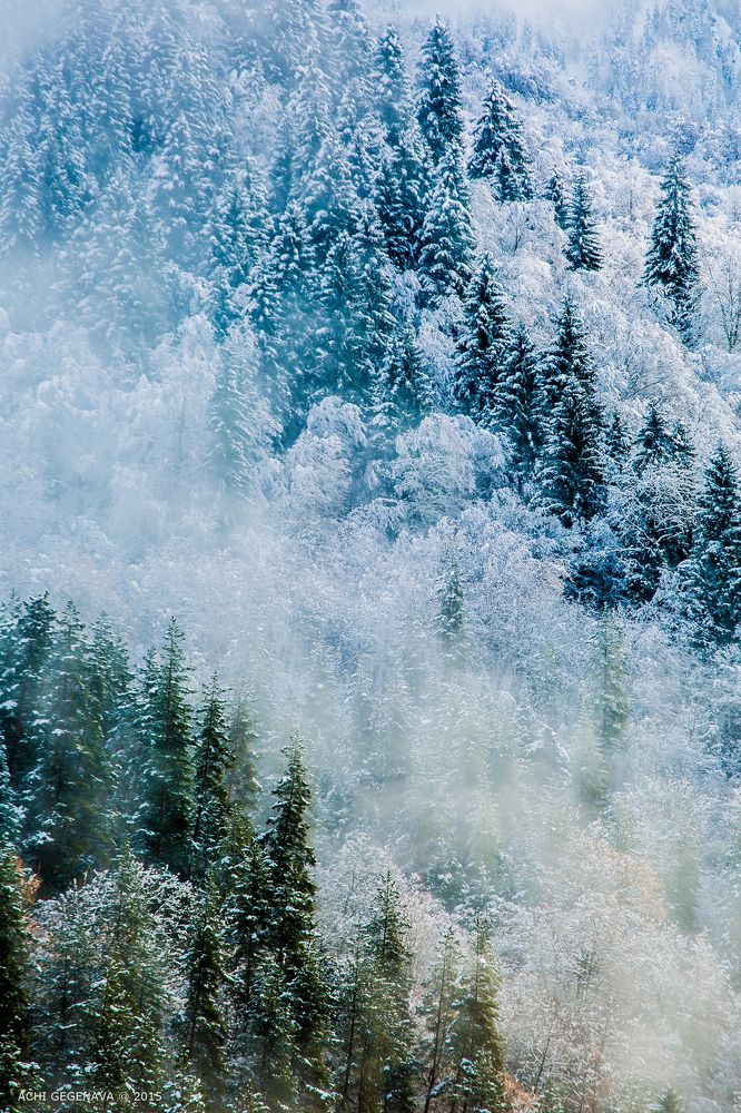Georgia, Racha Forest (sun and ice)