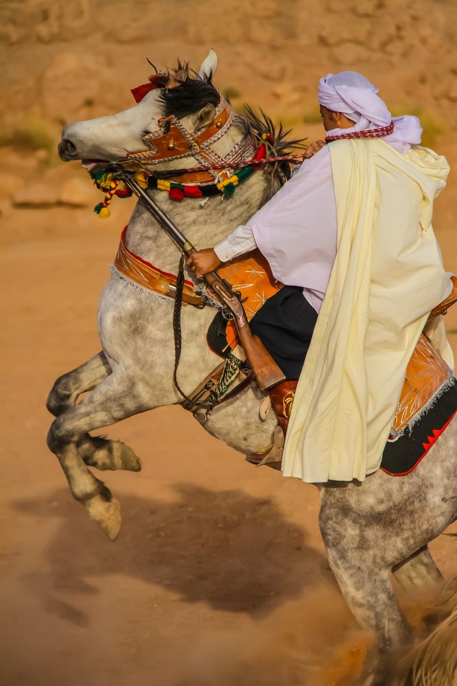 Cavalier's braveness