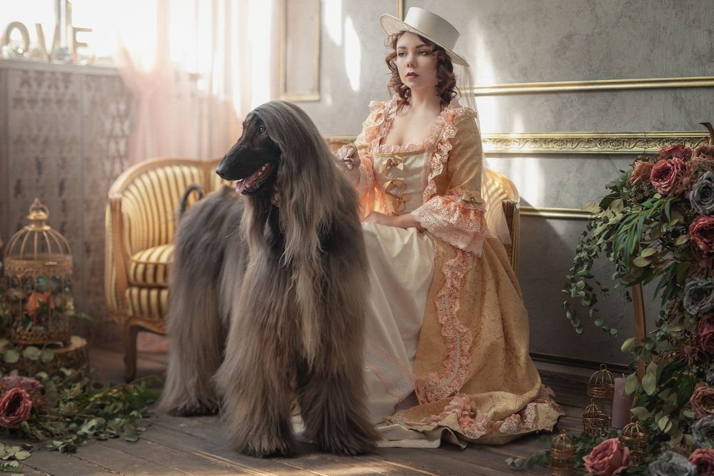 в духе аристократии