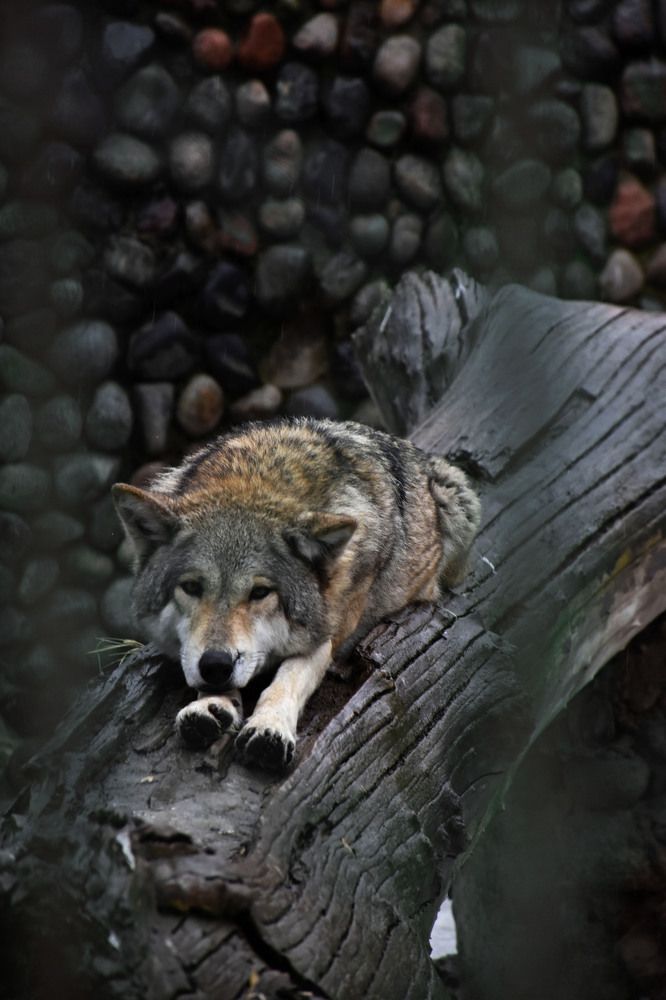 Photograph by Волков Станислав