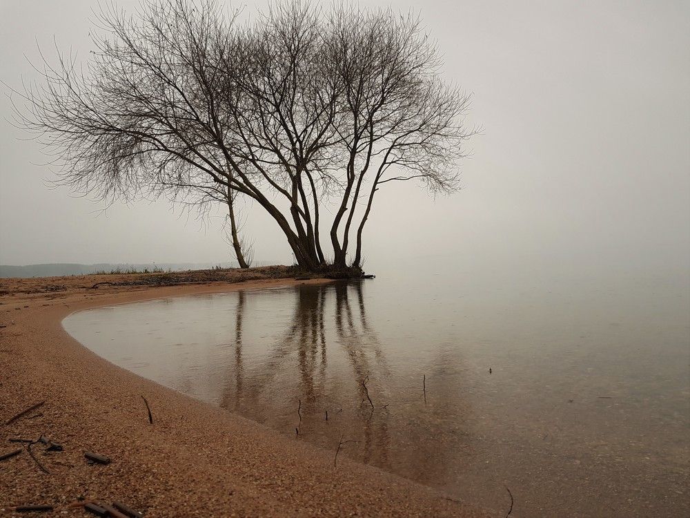 Ноябрьская мгла прекрасна...