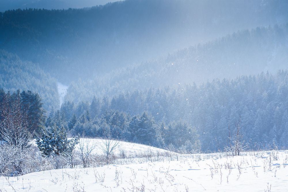 Звенящий морозный день