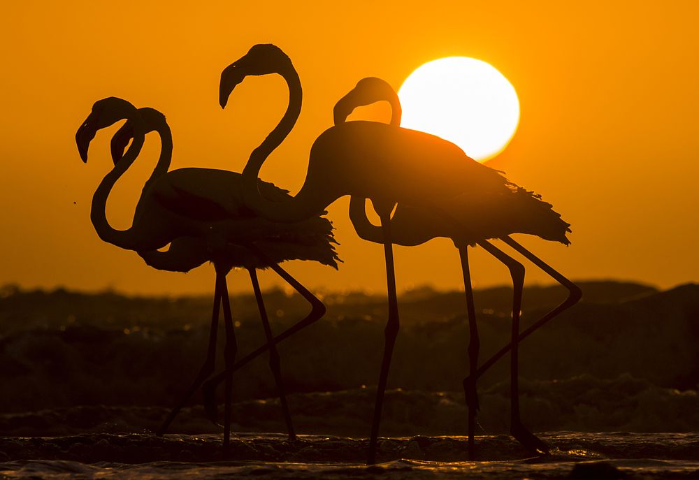 A perfect Sundown