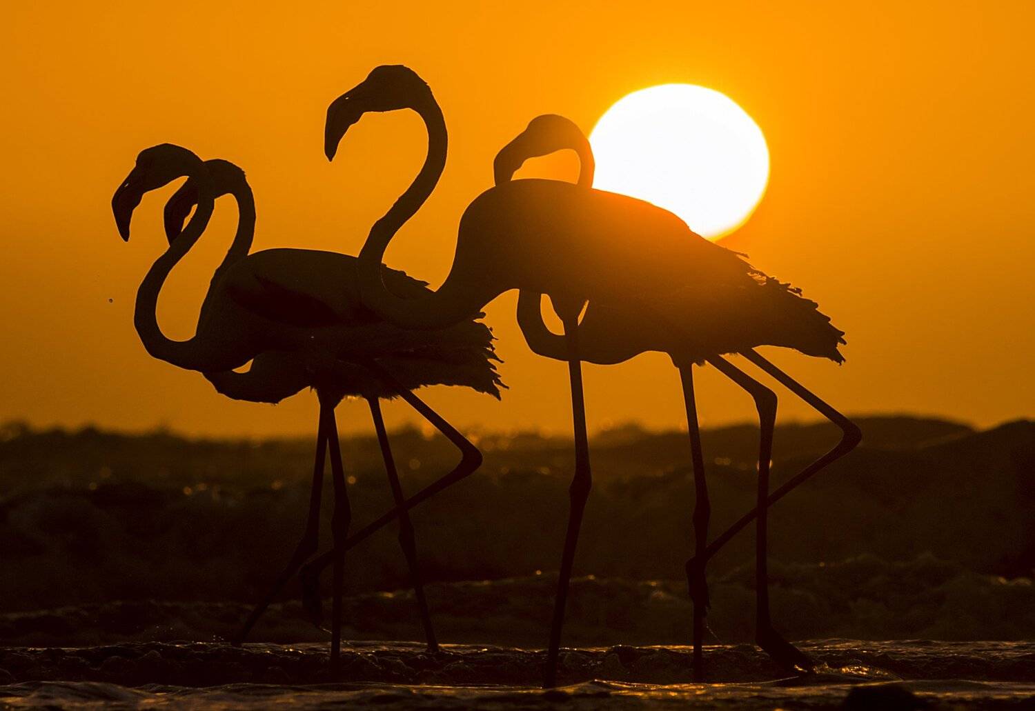 A perfect Sundown