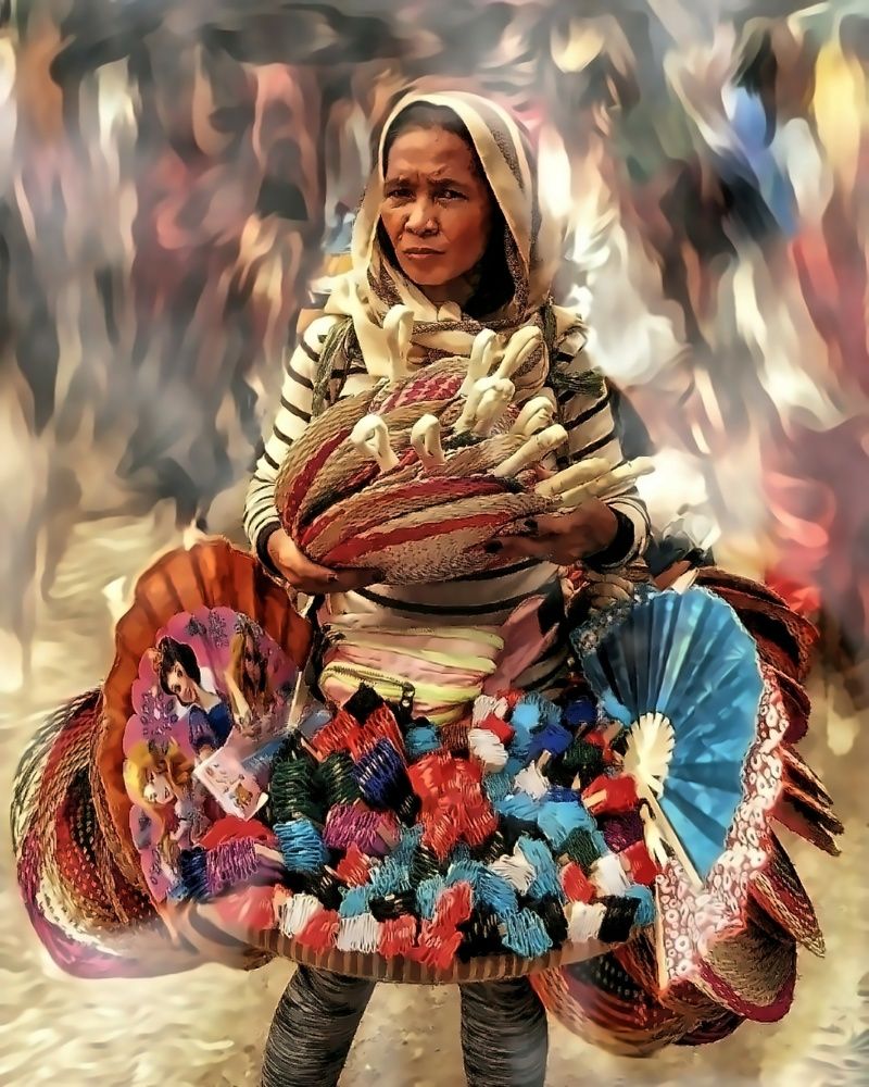 The Fan Lady