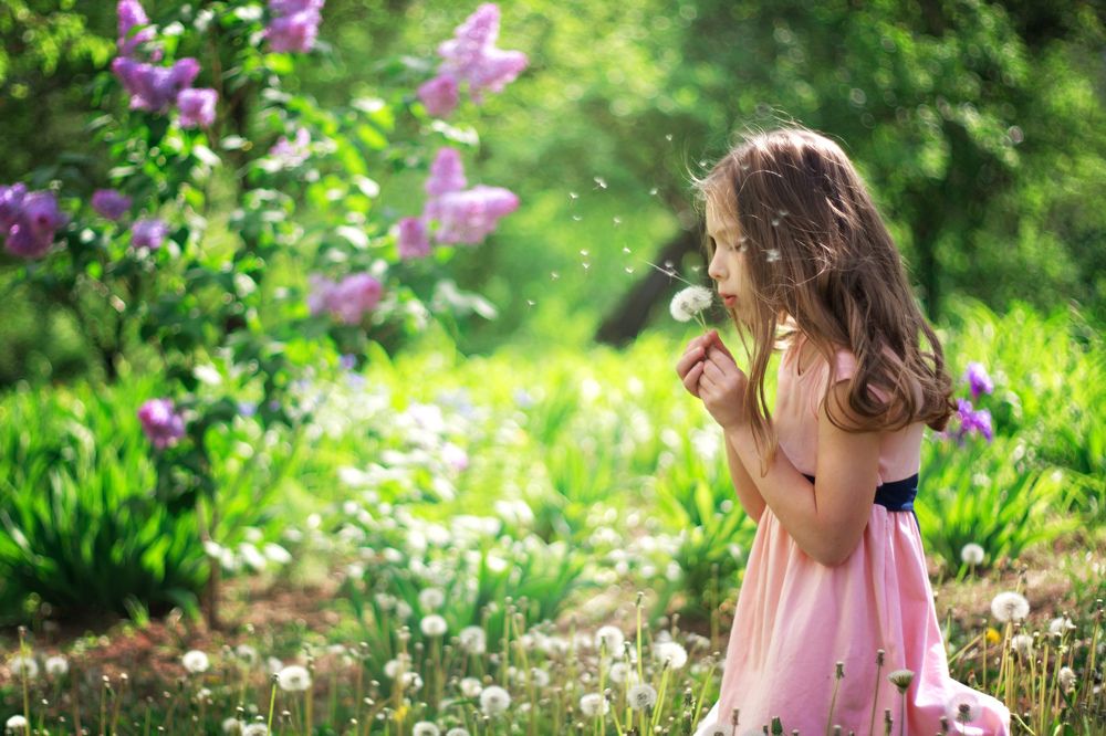 Photograph by Елена Шелехань