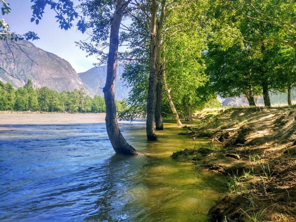 Photograph by Георгий