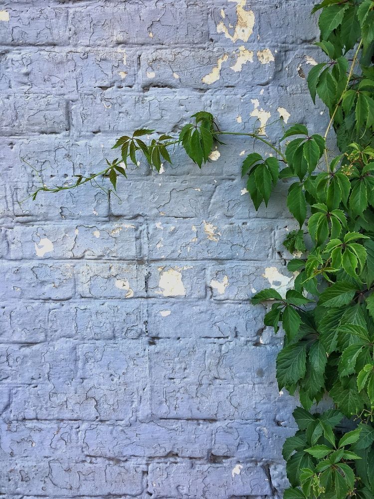 Городской минимализм