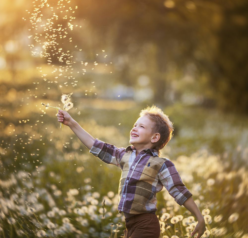 Фотография автора Наталия Комарова