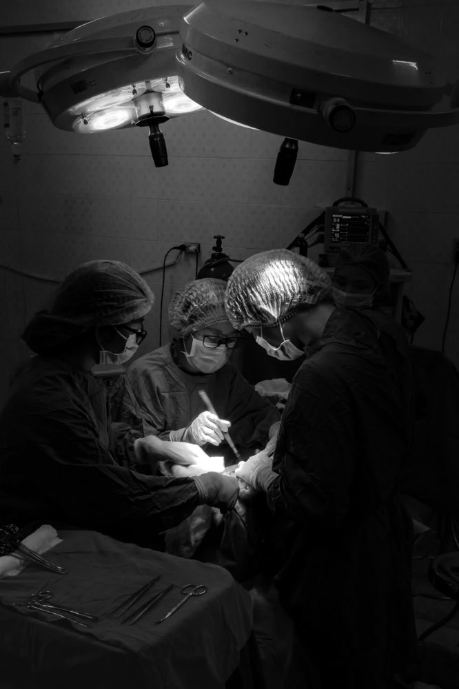 Sự sống là trên hết