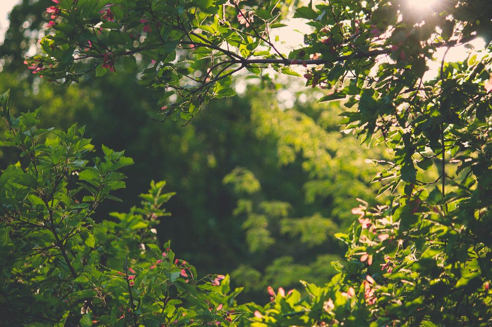 Photograph by Валентина Тарасенко