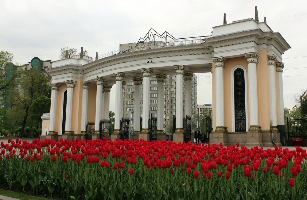 Фестиваль тюльпанов в парке