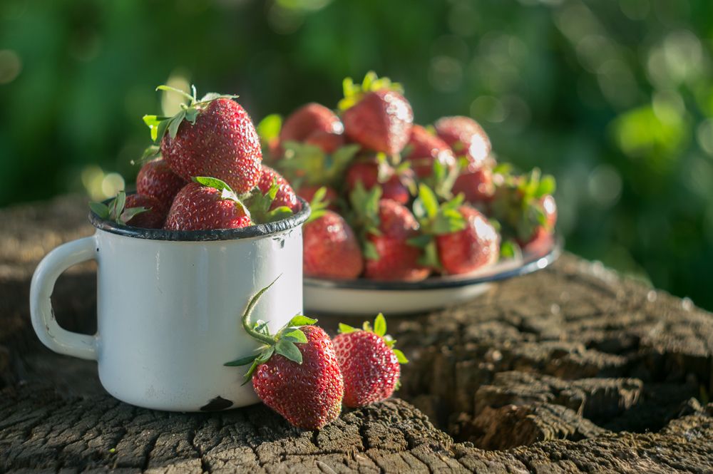 Клубничное лето!