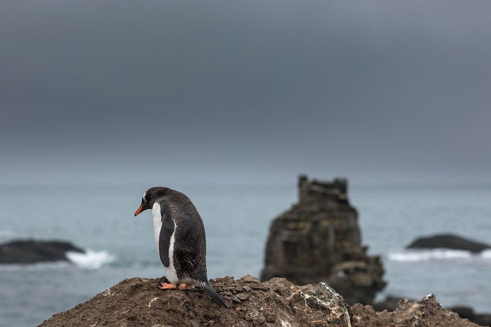одиночество