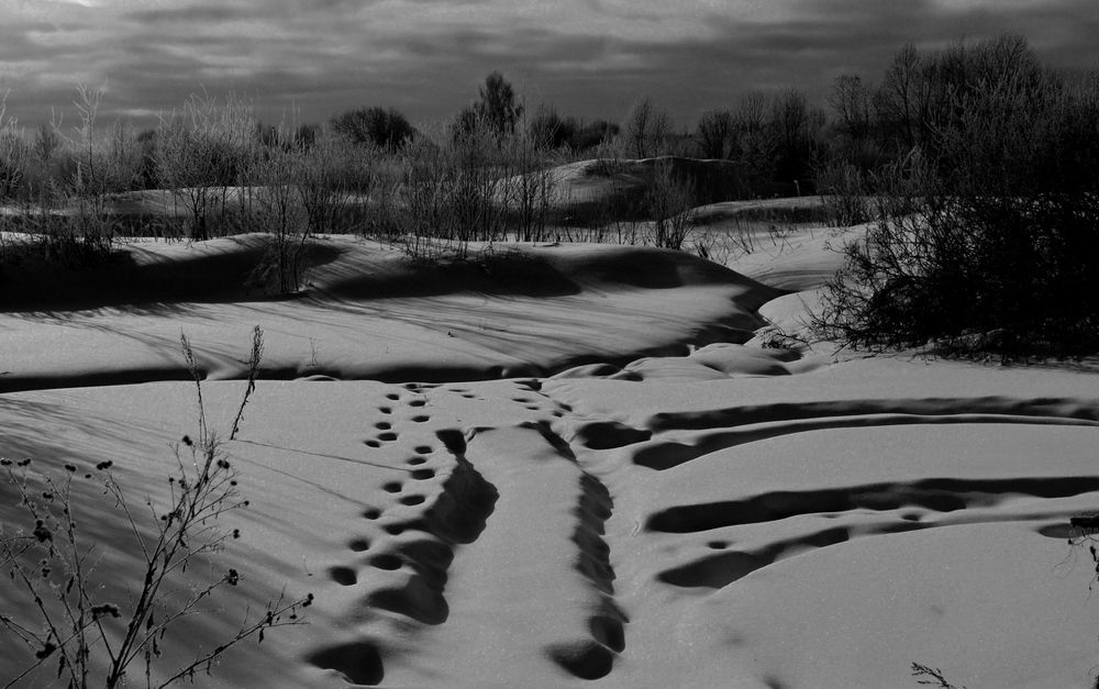 Снежные дали