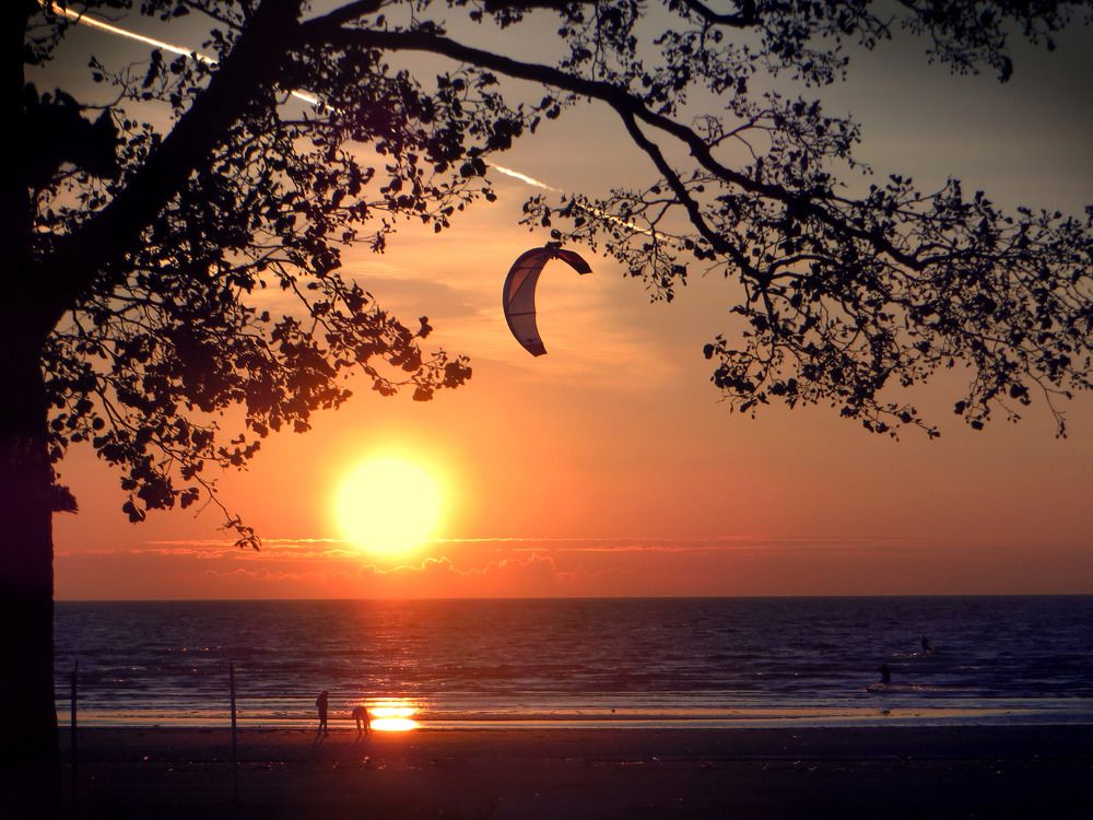 Кайтсерфинг на закате. Финский залив, Сестрорецкий курорт, Санкт-Петербург.