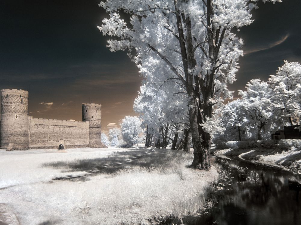 castle, palace, village in infrared