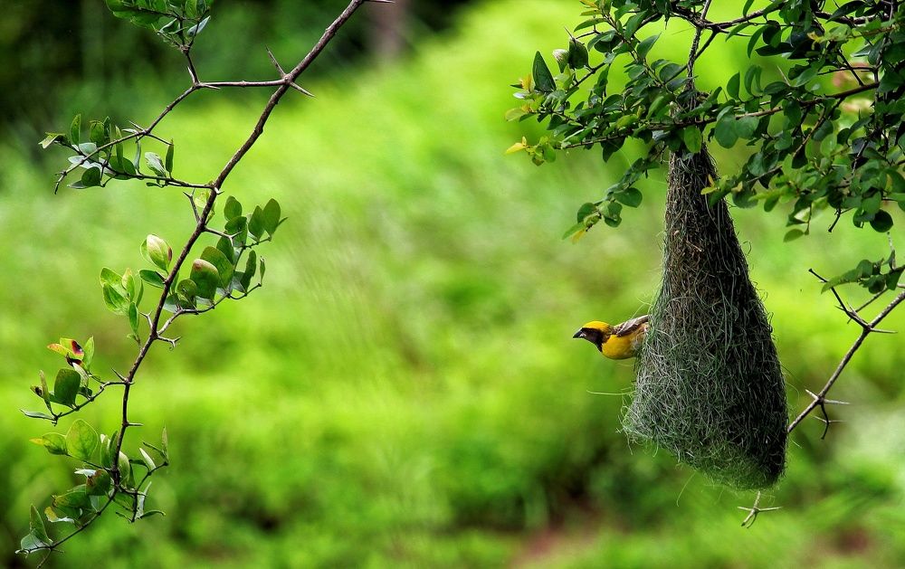 A million dollar house