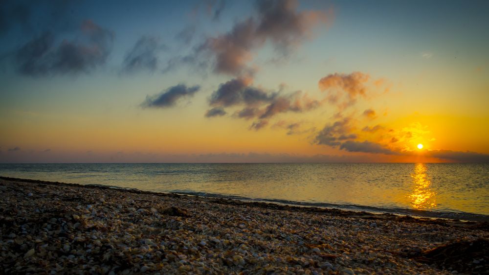 Photograph by Анатолий Коряк