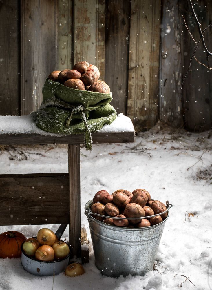 картошка на снегу