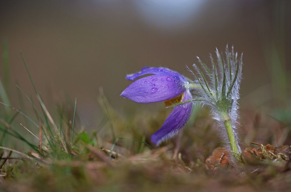 Photograph by Zita R. Gasiūnaitė