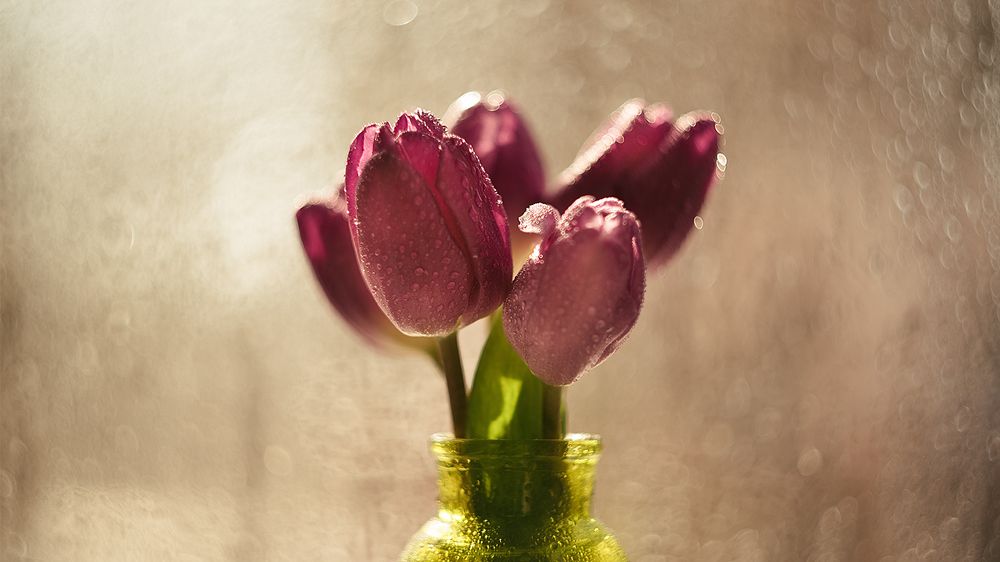 Начало марта