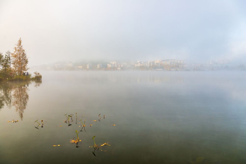 Утренний туман